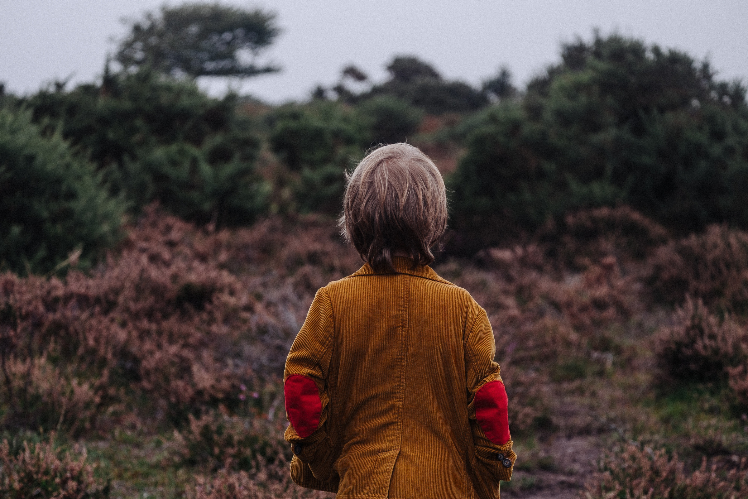 Little Boy Outdoors